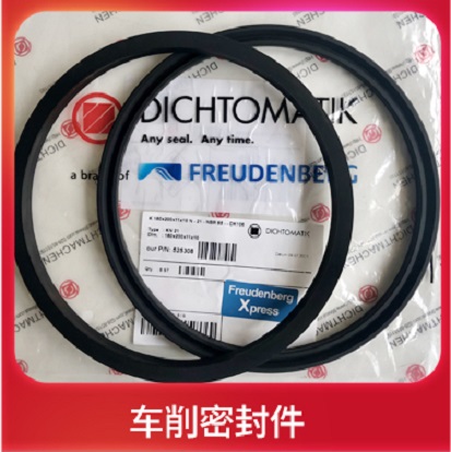 科德宝车削密封件